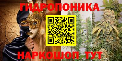 каннабис Будённовск