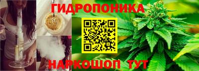 дмт Бузулук