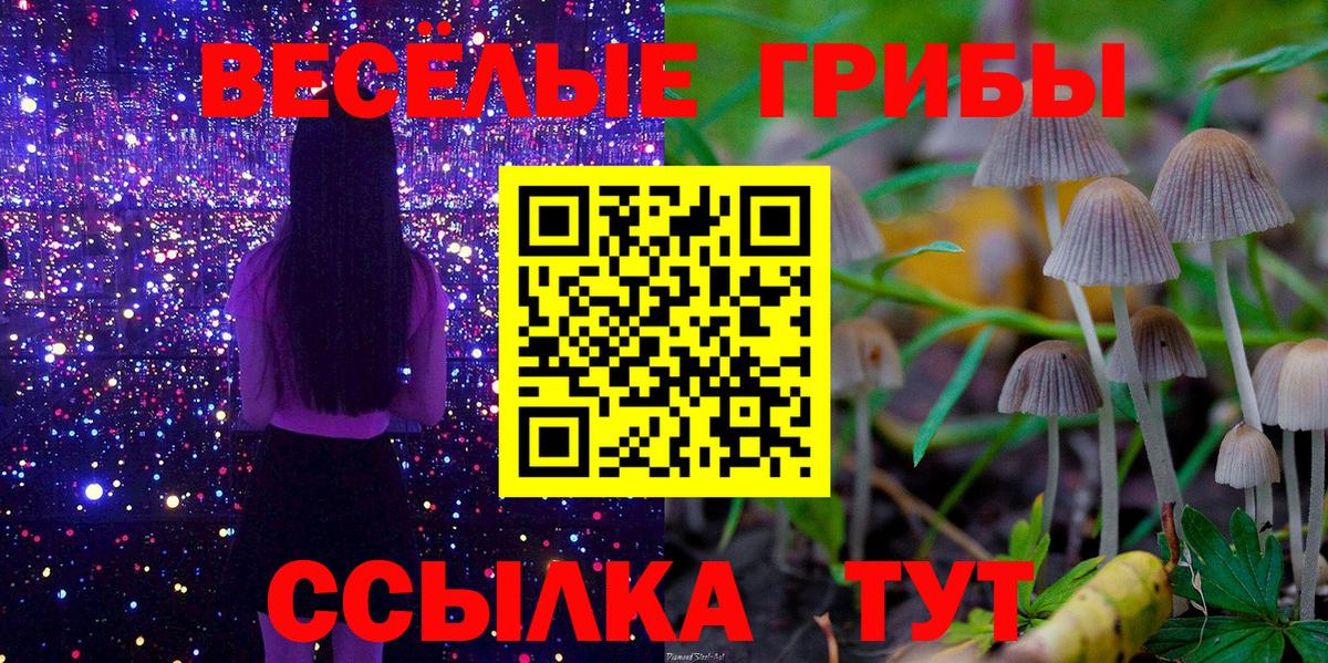 как найти закладки  Псилоцибиновые грибы Psilocybine cubensis  Вход с VPN  Михайловка 